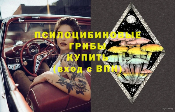 соль курить ск Липки