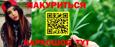 прущие грибы Балаково